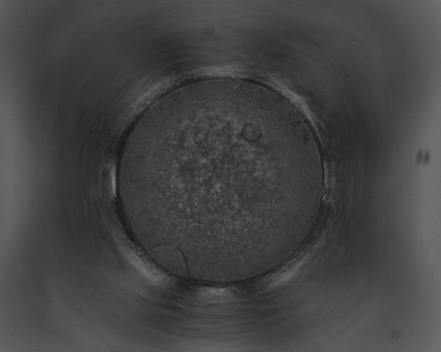 X0000091650061200708301426