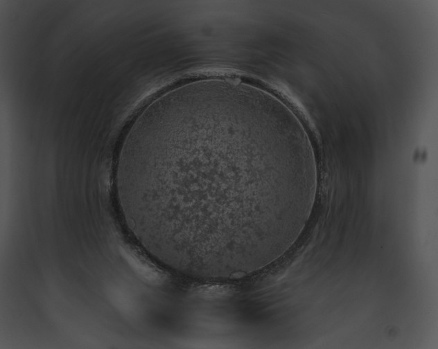 X0000091650063200708301426