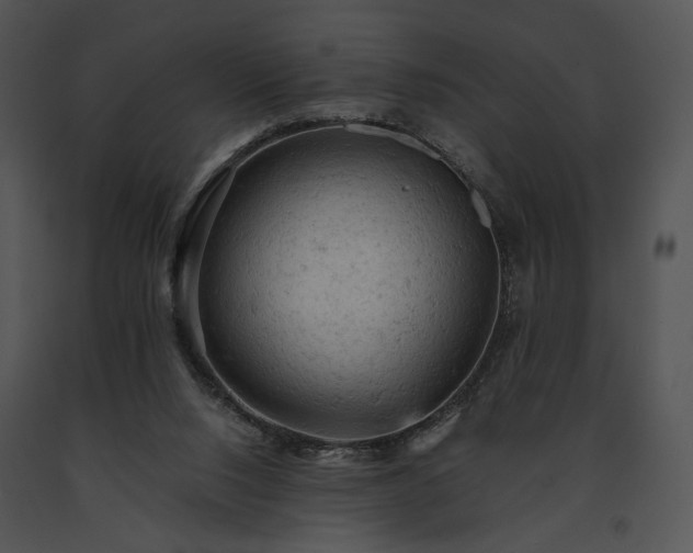 X0000091650064200708301426