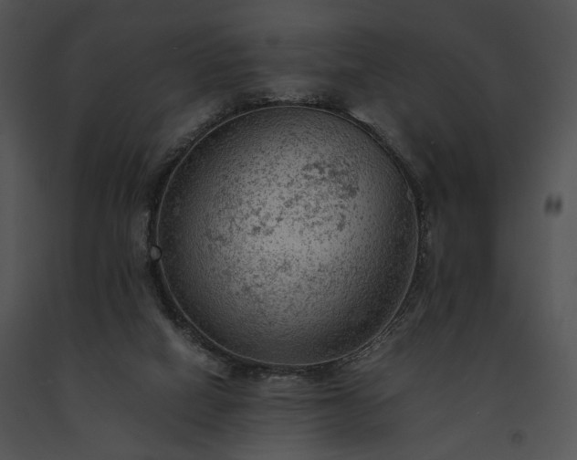 X0000091650066200708301426