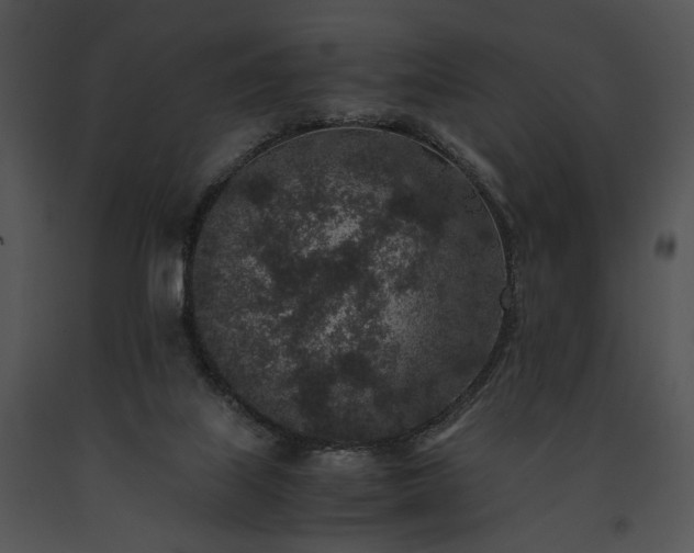 X0000091650067200708301426