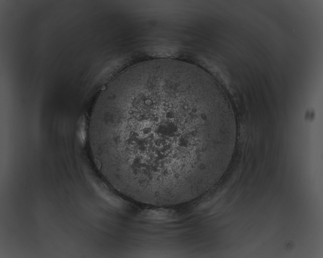 X0000091650069200708301426