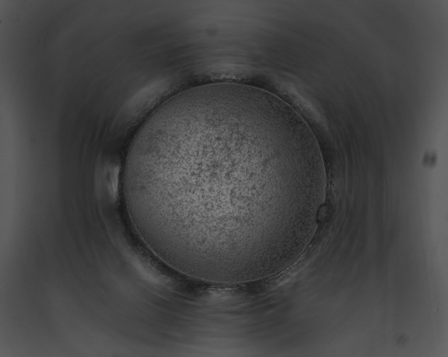 X0000091650070200708301426