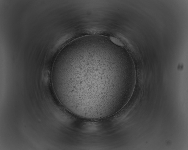 X0000091650071200708301426