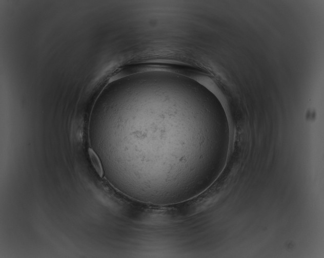 X0000091650072200708301426