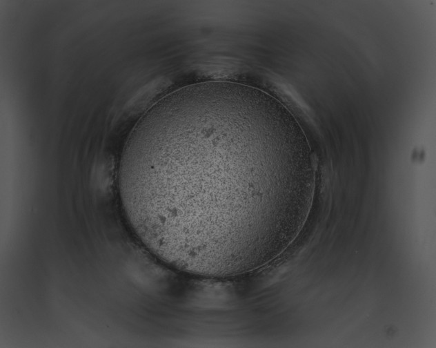 X0000091650073200708301426