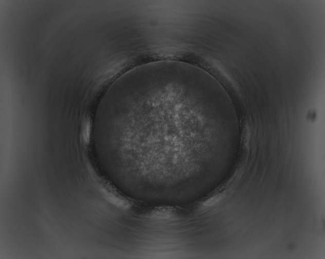 X0000091650076200708301426