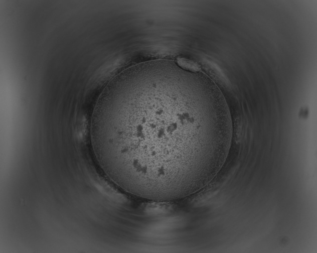 X0000091650077200708301427