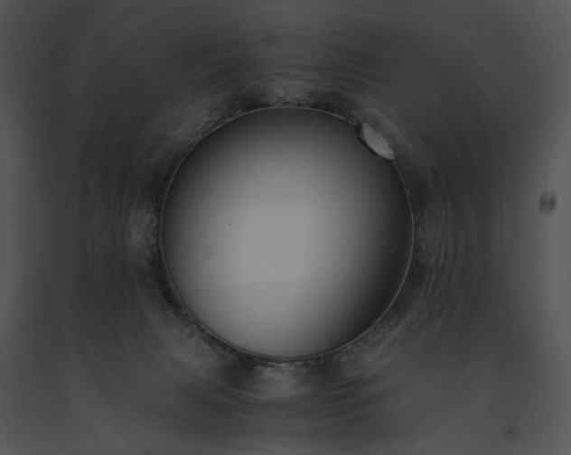 X0000091650079200708301427