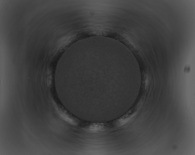 X0000091650080200708301427