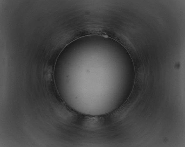 X0000091650083200708301427