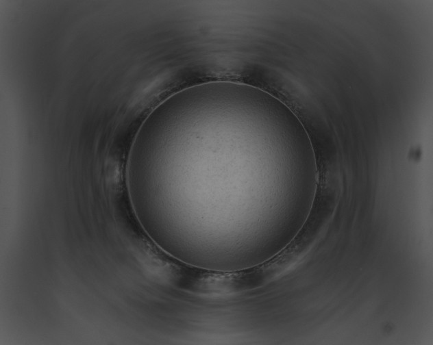 X0000091650084200708301427