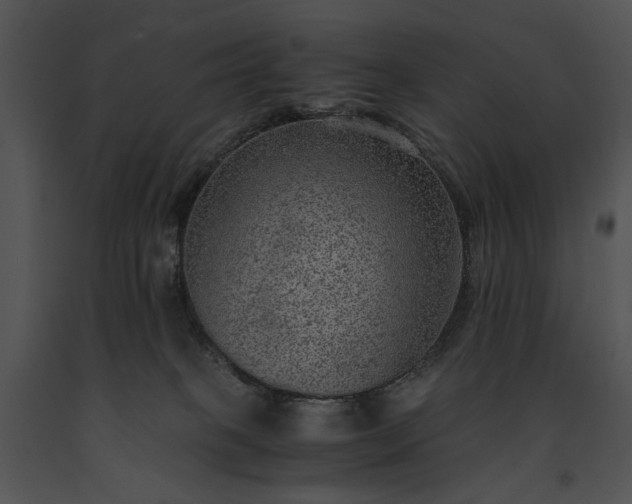 X0000091650085200708301427