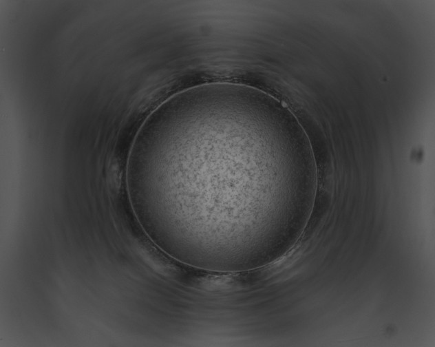 X0000091650086200708301427