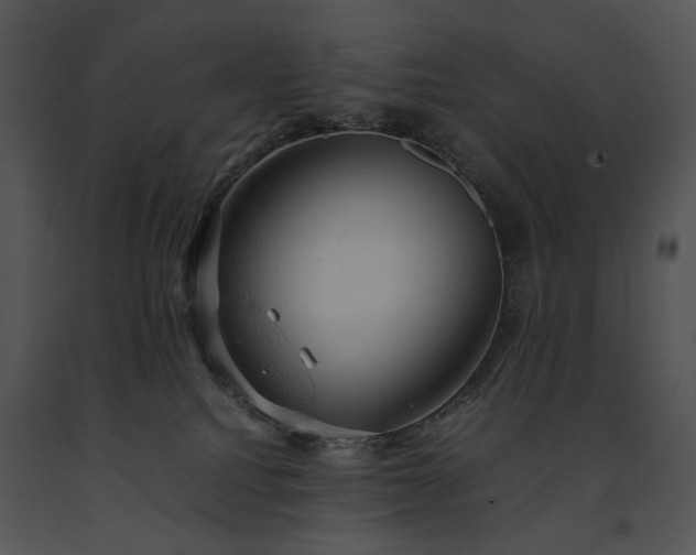 X0000091650088200708301427