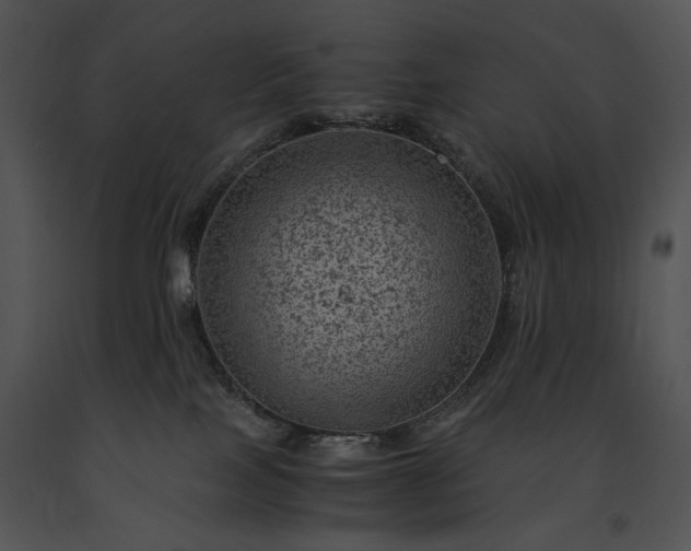 X0000091650089200708301427