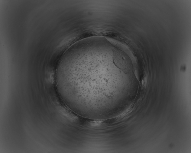 X0000091650090200708301427