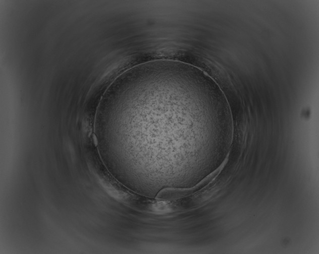 X0000091650091200708301427