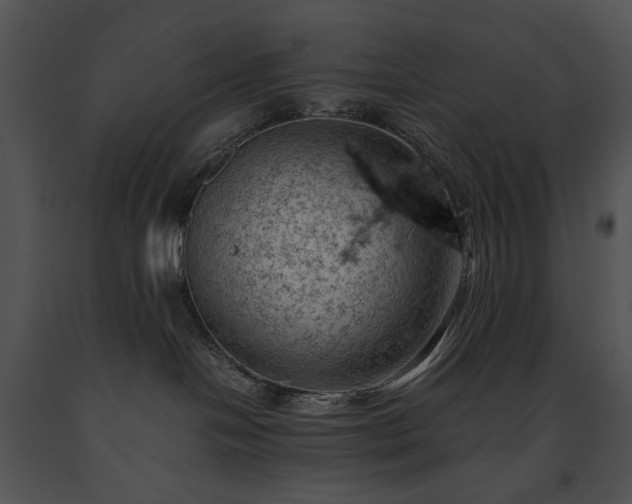 X0000091650094200708301427