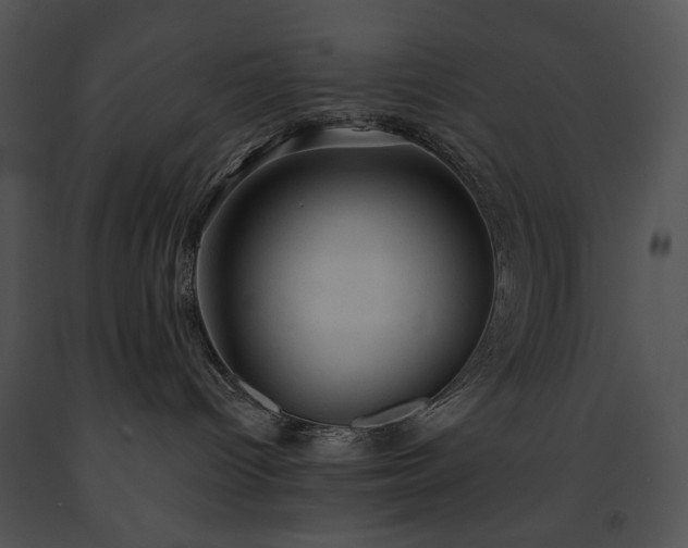 X0000091650096200708301427