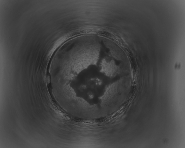 X0000091650099200708301426