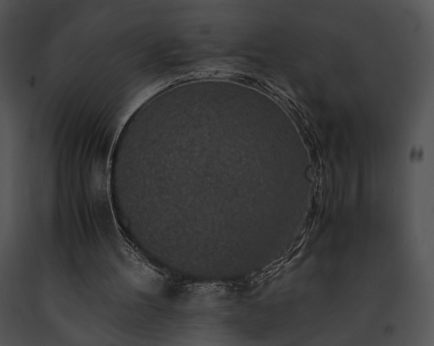 X0000091650100200708301426