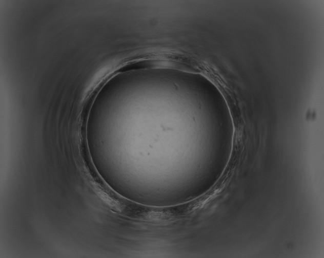 X0000091650101200708301426