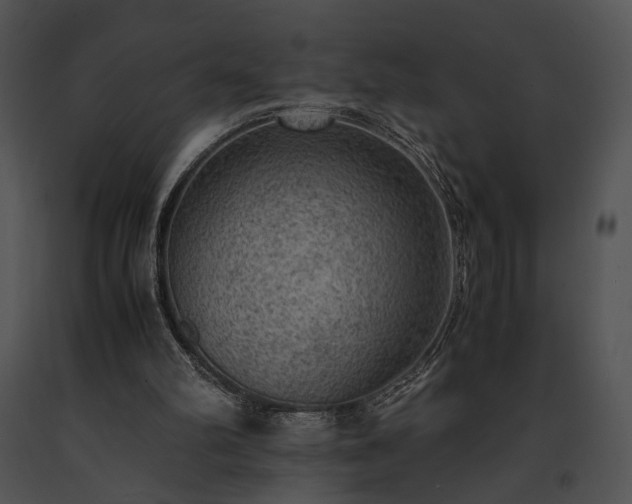 X0000091650102200708301426