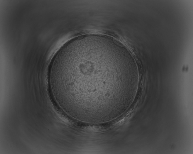 X0000091650103200708301426