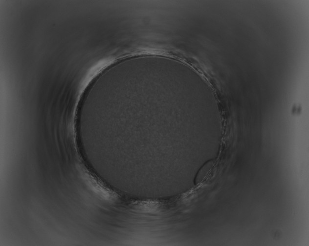 X0000091650104200708301426