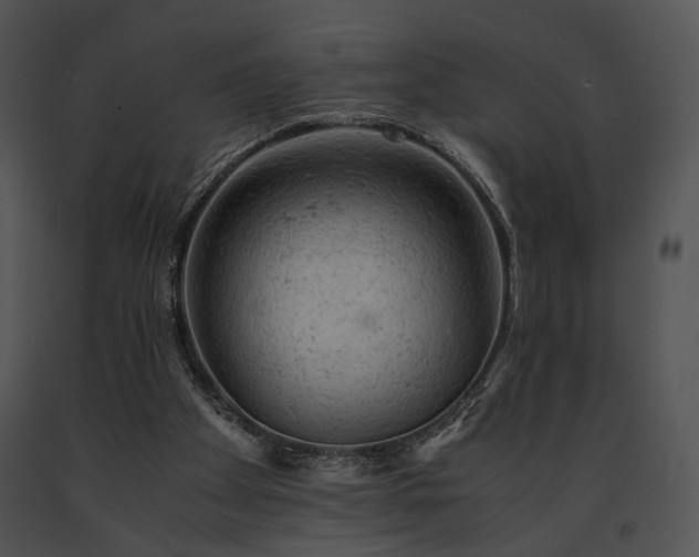 X0000091650105200708301426