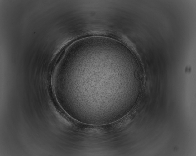 X0000091650106200708301426