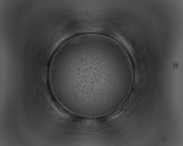 X0000091650107200708301426