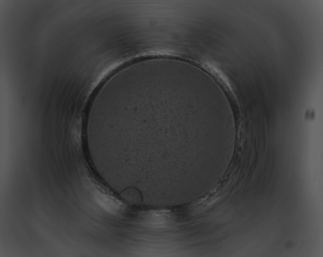 X0000091650108200708301426