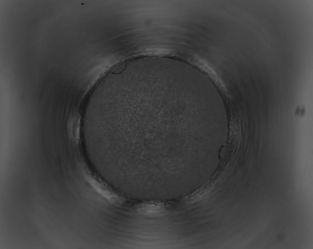 X0000091650110200708301426