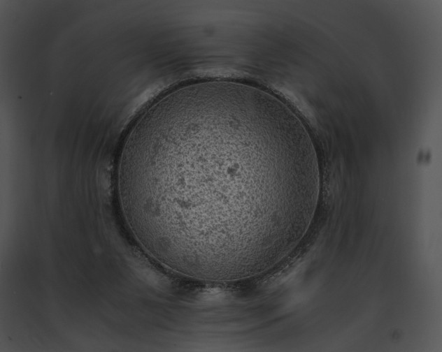 X0000091650111200708301426