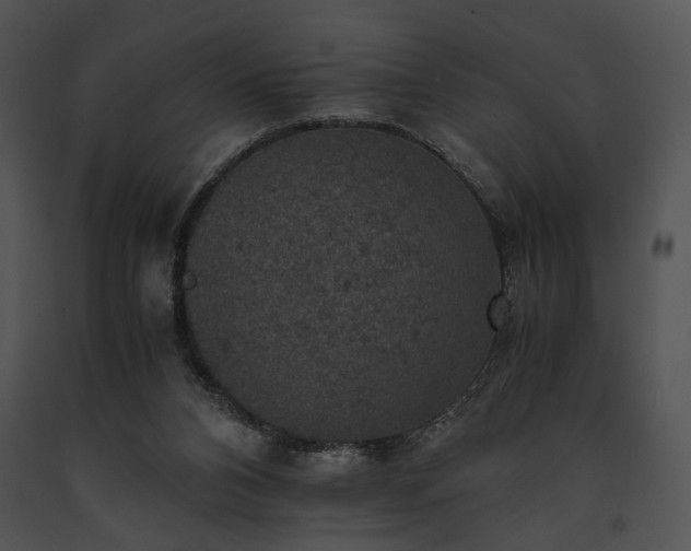 X0000091650112200708301426