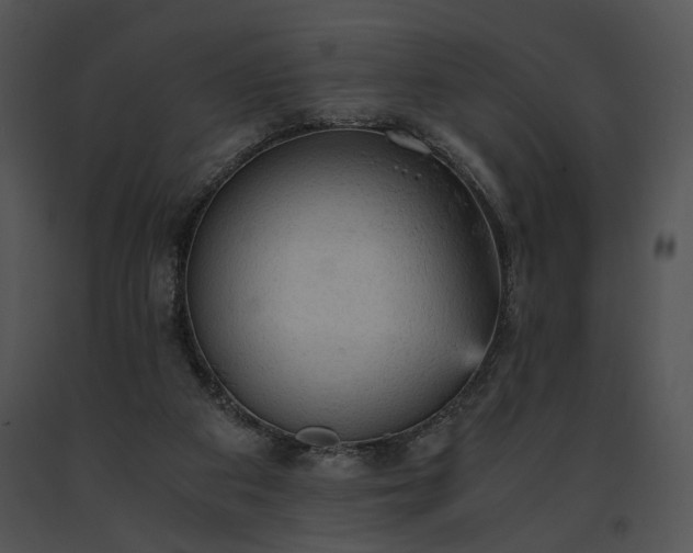 X0000091650113200708301426