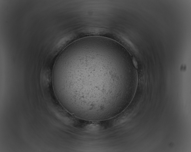 X0000091650119200708301426