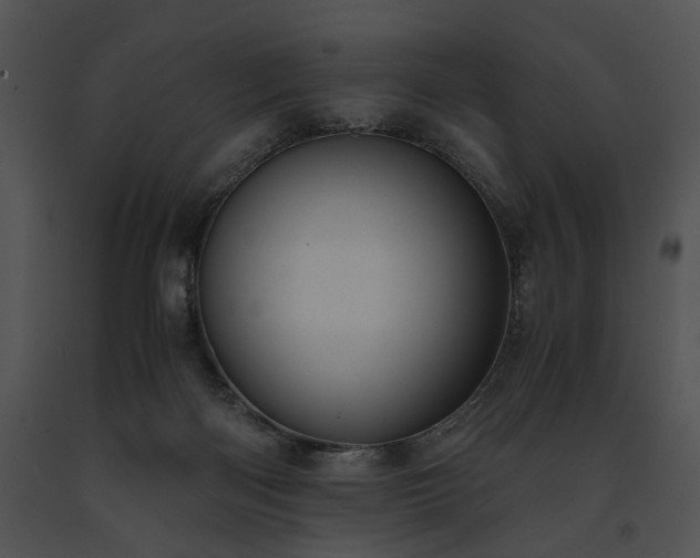 X0000091650122200708301426