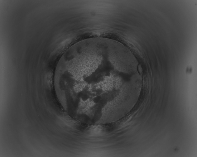 X0000091650127200708301426