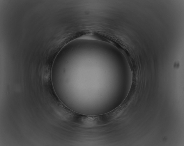 X0000091650129200708301426