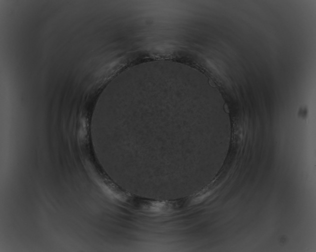 X0000091650130200708301426