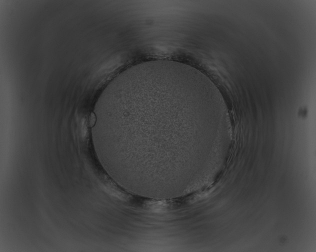 X0000091650131200708301426