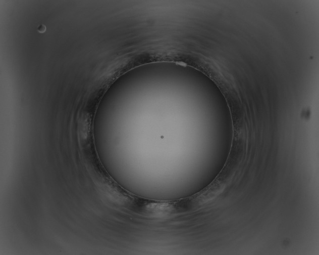 X0000091650133200708301426