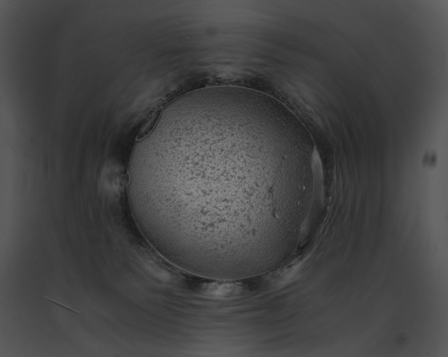 X0000091650135200708301426