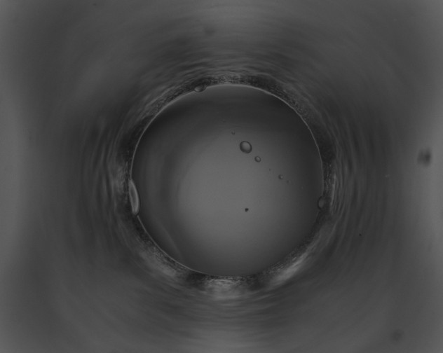 X0000091650139200708301426