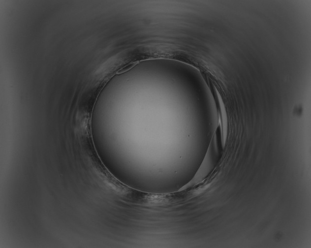 X0000091650141200708301426