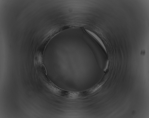 X0000091650143200708301426