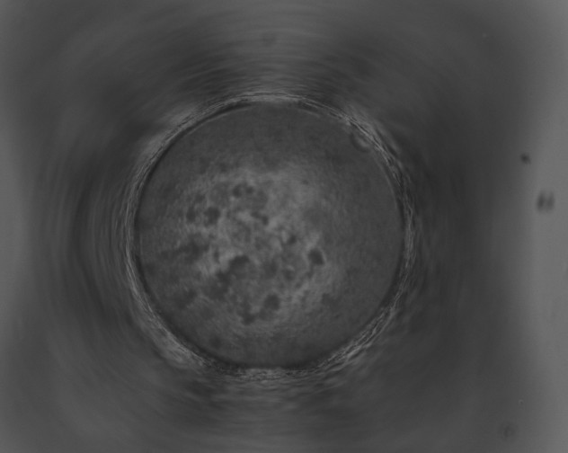 X0000091650145200708301425